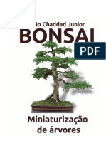 Bonsai-Miniaturizacao de Arvores