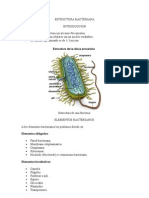 BACTERIOLOGIA