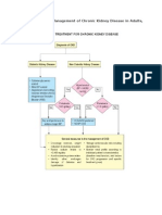 Summary of CPG Management of CKD in Adults