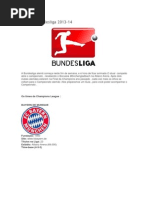 Guia Da Bundesliga 2013 - 14