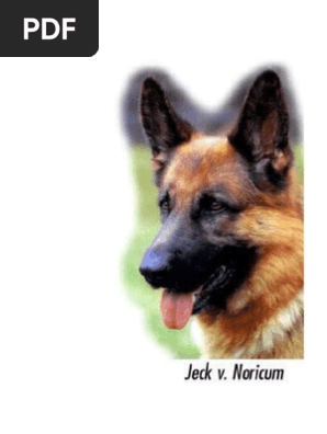 juego bañar perros