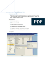 Funcionalidad Por Módulos y Reportes SAP Business One