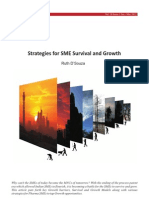Strategies for SME Survival Growth Insight 2012 