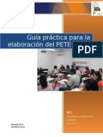 Guia Practica Elaboracion PETE PAT