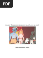 Projeto E o Meu Rio Grande Do Sul, Ceu, Sol, Sul