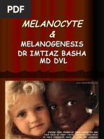 Download MELANOCYTE MELANIN by drimtu SN16169241 doc pdf