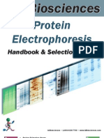 Protein Electrophoresis Handbook