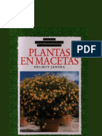 Plantas en Macetas