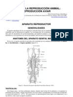 Anatomia Reproductiva Aviar