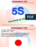 5 Ss  Programa de Qualidade e Padronização