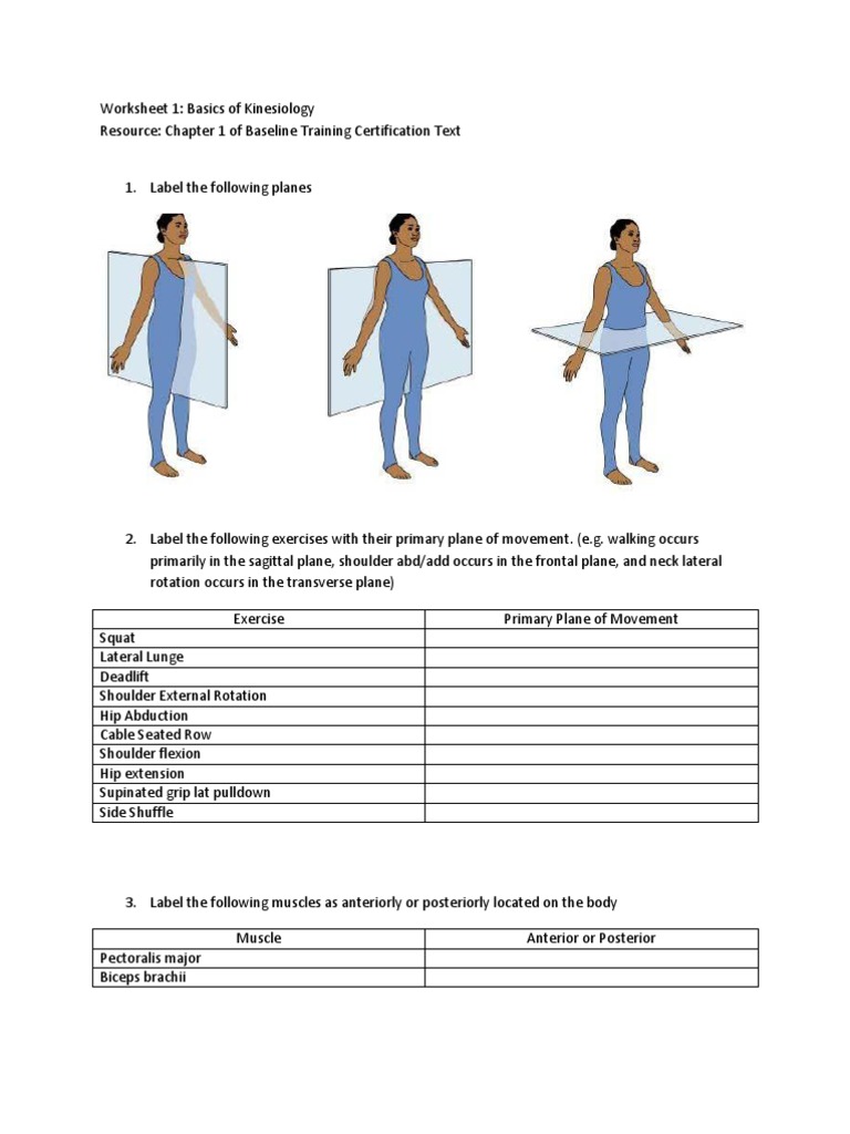 FR Training Cert Worksheets 080412 2 | PDF | Anatomical Terms Of Motion ...