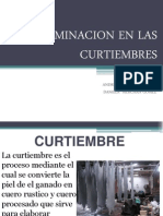 Contaminacion en Las Curtiembres 1