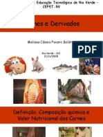 56481303-Carnes