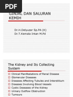 Download Gus156 Slide Ginjal Dan Saluran Kemih by Rina Chairunnisa SN161841220 doc pdf