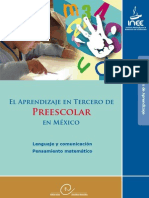 INEE 20070466 Preescolar08 Completoa
