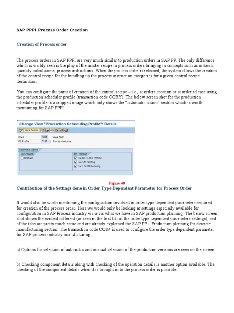 SAP PPPI Process Order Creation Guide | PDF | Scheduling (Production ...