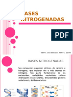 Bases Nitrogenadas