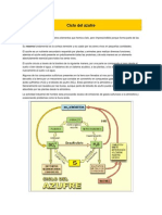 Ciclo Del Azufre