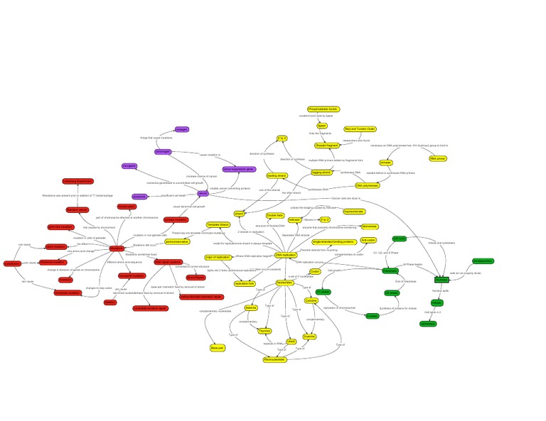 DNA Replication and Mutation Concept Map | Dna Replication | Dna Repair