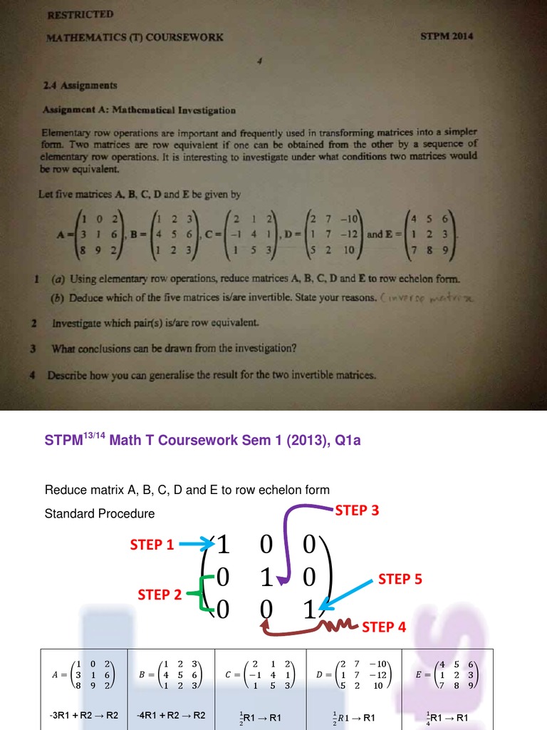 STPM 954 Math T Coursework 2013 Sem 1 | Matrix ...