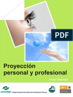 Proyeccion Personal y Profesional PDF