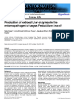 Verticillium lecanii 
Enzyme production