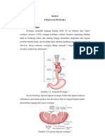 Gambaran Radiologi Tumor Esofagus