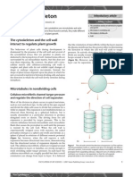 Plant Cytoskeleton PDF