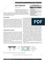 Plant Cuticle and Suberin.pdf