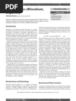 Download Root NodulesRhizobium Legumespdf by manoj_rkl_07 SN161928516 doc pdf