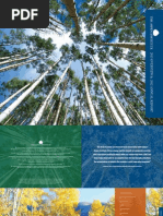 Download 2013 Overview and 2012 Annual Report of The Aspen Institute by The Aspen Institute SN161958677 doc pdf