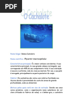 Cachalote
