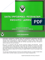 Data Informasi Kesehatan Prov Lampung