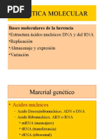 Genetica Molecular