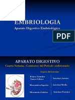 embriologia-aparatodigestivo-slidershare