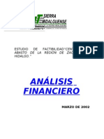 Analisis Financiero Hidalgo