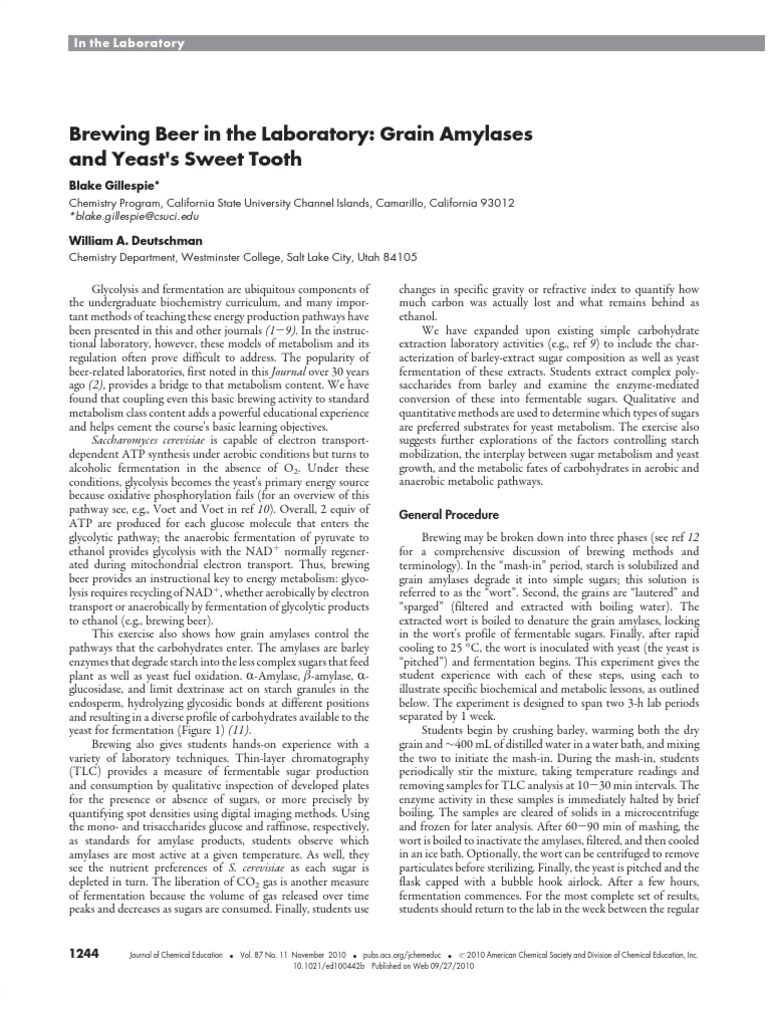 Beer Brewing PDF Glycolysis Cellular Respiration