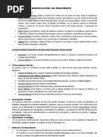 Manifestaciones Del Renacimiento