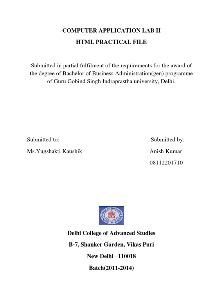 Computer Application Lab II | PDF