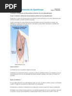Contusão e Distensão do Quadríceps