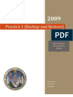 Practica1 [Backup and Restore]