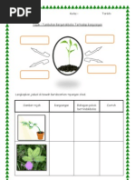 Latihan Gerakbalas Tumbuhan