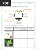 15 Gerakbalas Tumbuhan Kepada Rangsangan 15 Gerakbalas Tumbuhan Kepada Rangsangan