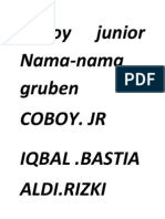 Coboy Junior