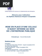 Download Mise en place dune cellule daudit interne au sein de lentreprise publique by Hajar Ben SN162159483 doc pdf