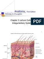 Integumentary System Chapter Outline