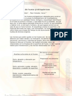 Herramientas de Hueso Prehispánicas PDF