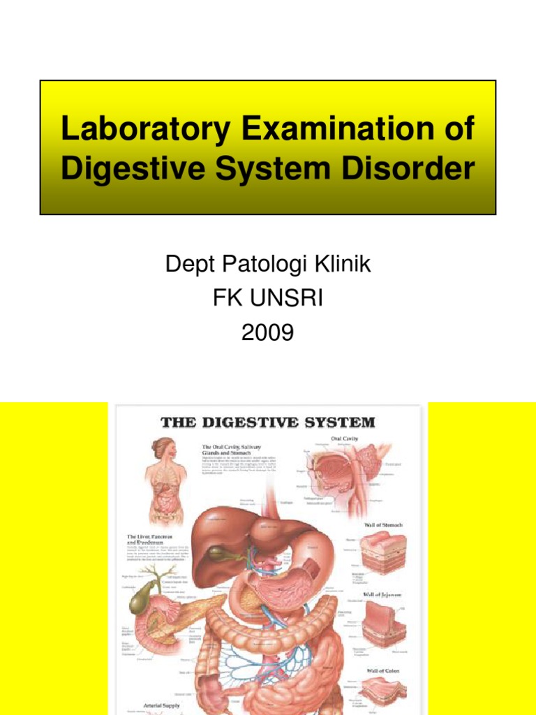 Lab Digestive System Disorder | PDF