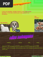 Os cães - Trabalho de alunos de 3ºano