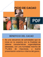Beneficio de Cacao - 2011